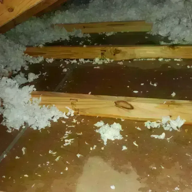 Attic Water Damage in Celina, TX