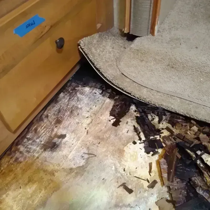 Wood Floor Water Damage in Celina, TX